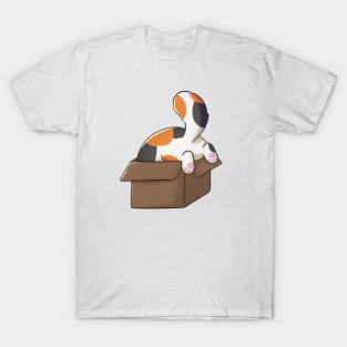 Funny And Cute Calico Cat In Box T-Shirt